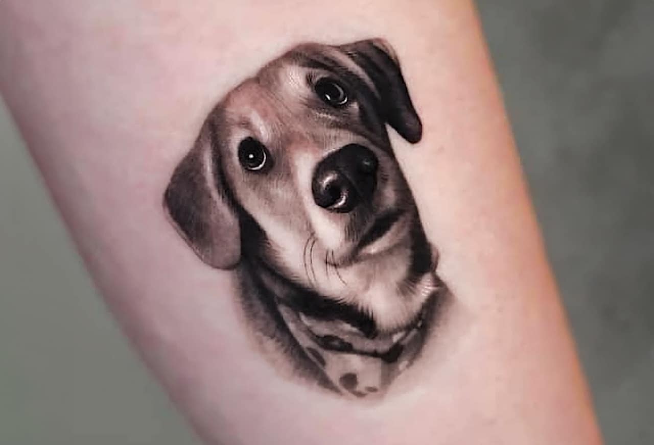 The Biggest Canine Tattoo Ideas